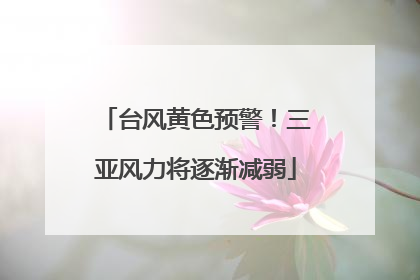台风黄色预警！三亚风力将逐渐减弱