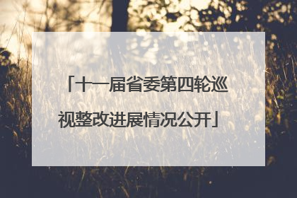 十一届省委第四轮巡视整改进展情况公开