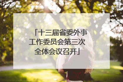 十三届省委外事工作委员会第三次全体会议召开