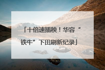 十倍速插秧！华容“铁牛”下田刷新纪录