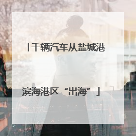 千辆汽车从盐城港滨海港区“出海”