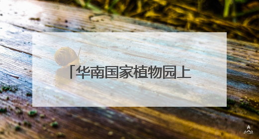 华南国家植物园上演“多肉界玫瑰传奇”，从呆萌树干到炸裂种子全是戏！