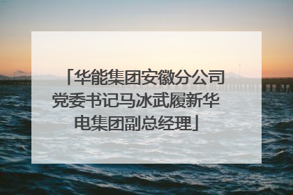 华能集团安徽分公司党委书记马冰武履新华电集团副总经理
