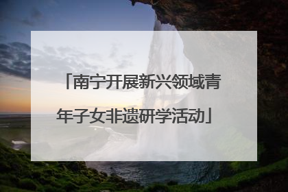 南宁开展新兴领域青年子女非遗研学活动