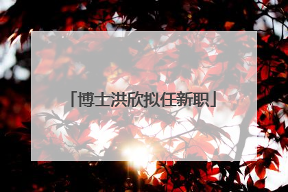 博士洪欣拟任新职