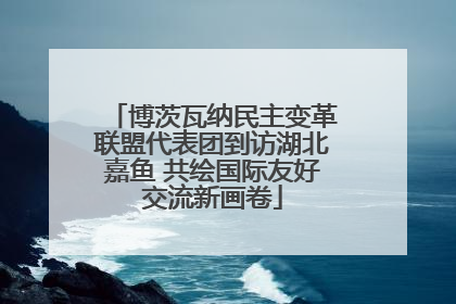 博茨瓦纳民主变革联盟代表团到访湖北嘉鱼 共绘国际友好交流新画卷