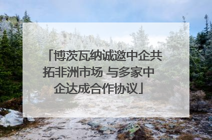 博茨瓦纳诚邀中企共拓非洲市场 与多家中企达成合作协议