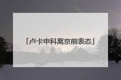 卢卡申科离京前表态