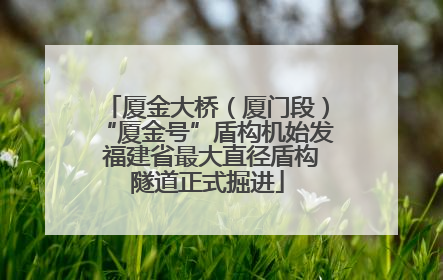 厦金大桥（厦门段）“厦金号”盾构机始发 福建省最大直径盾构隧道正式掘进