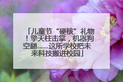 儿童节“硬核”礼物！擎天柱击掌，机器狗空翻……这所学校把未来科技搬进校园