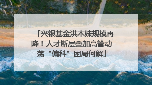 兴银基金洪木妹规模再降！人才断层叠加高管动荡“偏科”困局何解