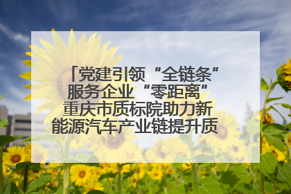 党建引领“全链条” 服务企业“零距离” 重庆市质标院助力新能源汽车产业链提升质量管理水平