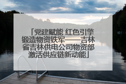 党建赋能 红色引擎锻造物资铁军——吉林省吉林供电公司物资部激活供应链新动能