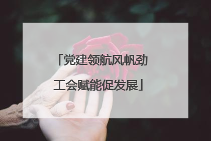 党建领航风帆劲 工会赋能促发展