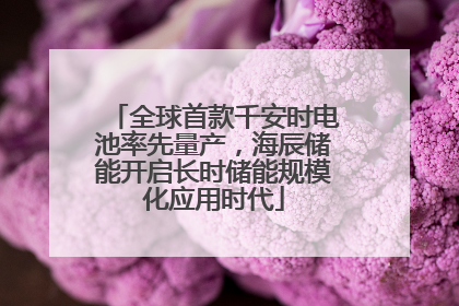 全球首款千安时电池率先量产，海辰储能开启长时储能规模化应用时代