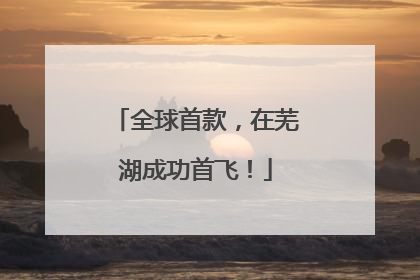 全球首款，在芜湖成功首飞！