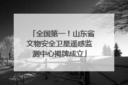 全国第一！山东省文物安全卫星遥感监测中心揭牌成立