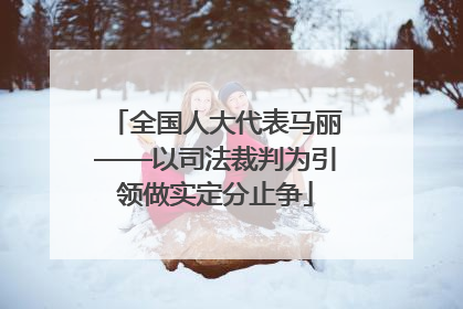 全国人大代表马丽——以司法裁判为引领做实定分止争