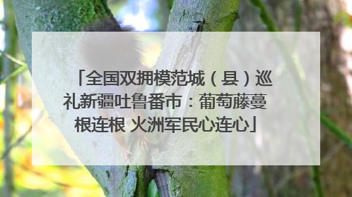 全国双拥模范城（县）巡礼新疆吐鲁番市：葡萄藤蔓根连根 火洲军民心连心