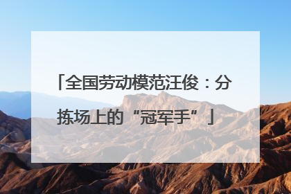 全国劳动模范汪俊：分拣场上的“冠军手”