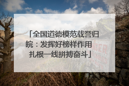 全国道德模范载誉归皖：发挥好榜样作用 扎根一线拼搏奋斗
