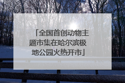 全国首创动物主题市集在哈尔滨极地公园火热开市