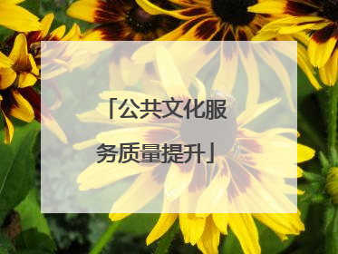 公共文化服务质量提升