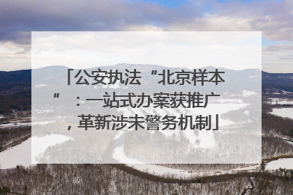 公安执法“北京样本”：一站式办案获推广，革新涉未警务机制
