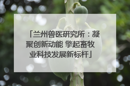 兰州兽医研究所：凝聚创新动能 擎起畜牧业科技发展新标杆