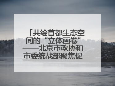 共绘首都生态空间的“立体画卷”——北京市政协和市委统战部聚焦促进绿化彩化美化生态空间建设联合协商议政
