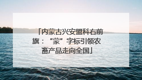 内蒙古兴安盟科右前旗：“蒙”字标引领农畜产品走向全国