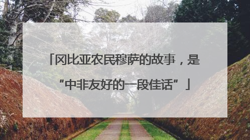 冈比亚农民穆萨的故事，是“中非友好的一段佳话”