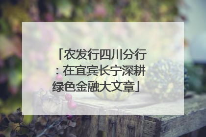 农发行四川分行：在宜宾长宁深耕绿色金融大文章