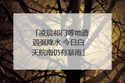 凌晨祁门等地遭遇强降水 今日白天皖南仍有暴雨