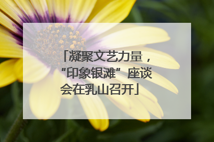凝聚文艺力量，“印象银滩”座谈会在乳山召开