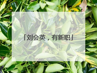 刘会英，有新职