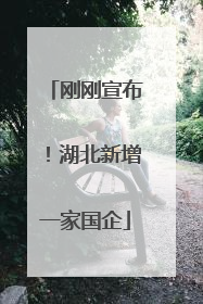 刚刚宣布！湖北新增一家国企