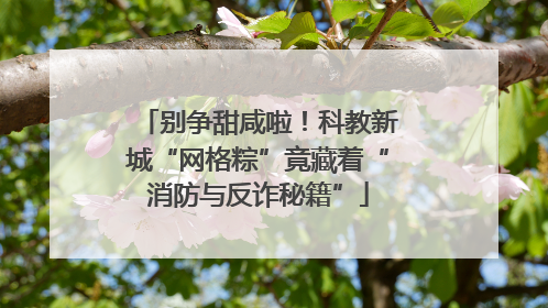 别争甜咸啦！科教新城“网格粽”竟藏着“消防与反诈秘籍”