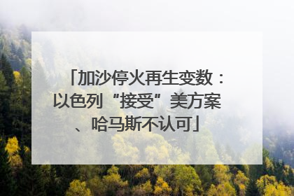 加沙停火再生变数：以色列“接受”美方案、哈马斯不认可