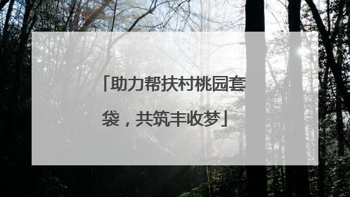 助力帮扶村桃园套袋，共筑丰收梦