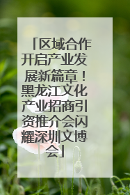 区域合作开启产业发展新篇章！黑龙江文化产业招商引资推介会闪耀深圳文博会