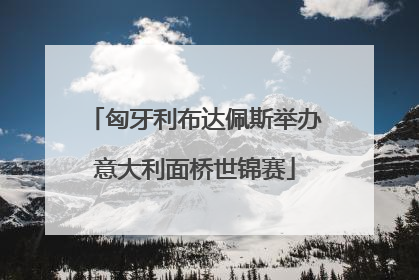 匈牙利布达佩斯举办意大利面桥世锦赛