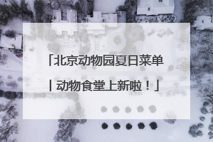 北京动物园夏日菜单丨动物食堂上新啦！