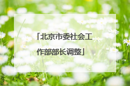 北京市委社会工作部部长调整
