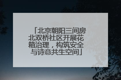 北京朝阳三间房北双桥社区开展花箱治理，构筑安全与诗意共生空间