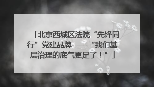 北京西城区法院“先锋同行”党建品牌——“我们基层治理的底气更足了！”
