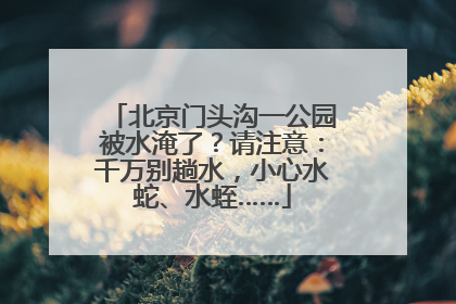 北京门头沟一公园被水淹了？请注意：千万别趟水，小心水蛇、水蛭……