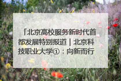 北京高校服务新时代首都发展特别报道｜北京科技职业大学①：向新而行，为首都低空经济发展提供“即战力”