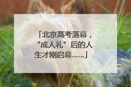 北京高考落幕，“成人礼”后的人生才刚启幕……