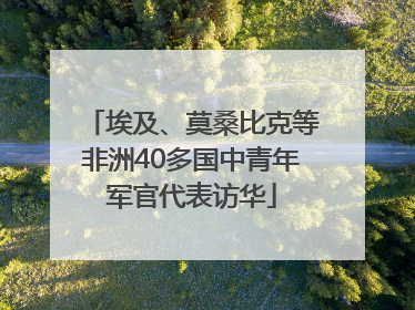 埃及、莫桑比克等非洲40多国中青年军官代表访华